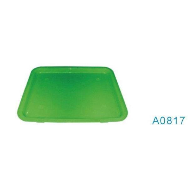 A0817 green color esd tray